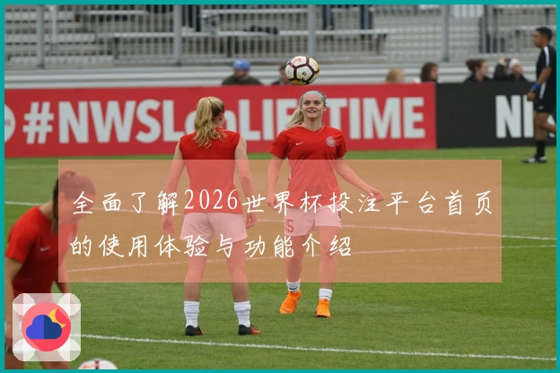 全面了解2026世界杯投注平台首页的使用体验与功能介绍