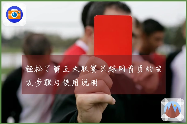 轻松了解五大联赛买球网首页的安装步骤与使用说明